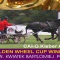 Kwiatek Bartolomiej POL Winner Golden Wheel CUP , FINAL CAI-O Kisber AZAR